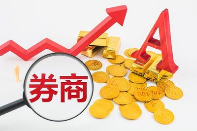 TOP有看:散户选哪个证券公司好 证券公司怎么挑选