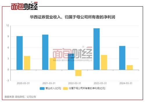 华西证券 2024上半年净利润或降逾九成,投资业务收入下降较多